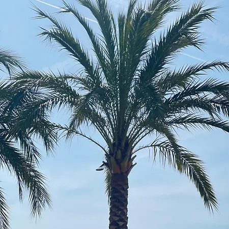 Apartment La Vague Douce